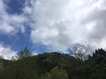 image1.jpeg