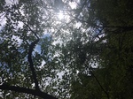 image3.jpeg